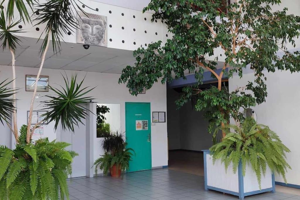 Studio Calais Front De Mer-Le Cocon Du Dragon-Classe 3 Etoiles المظهر الخارجي الصورة