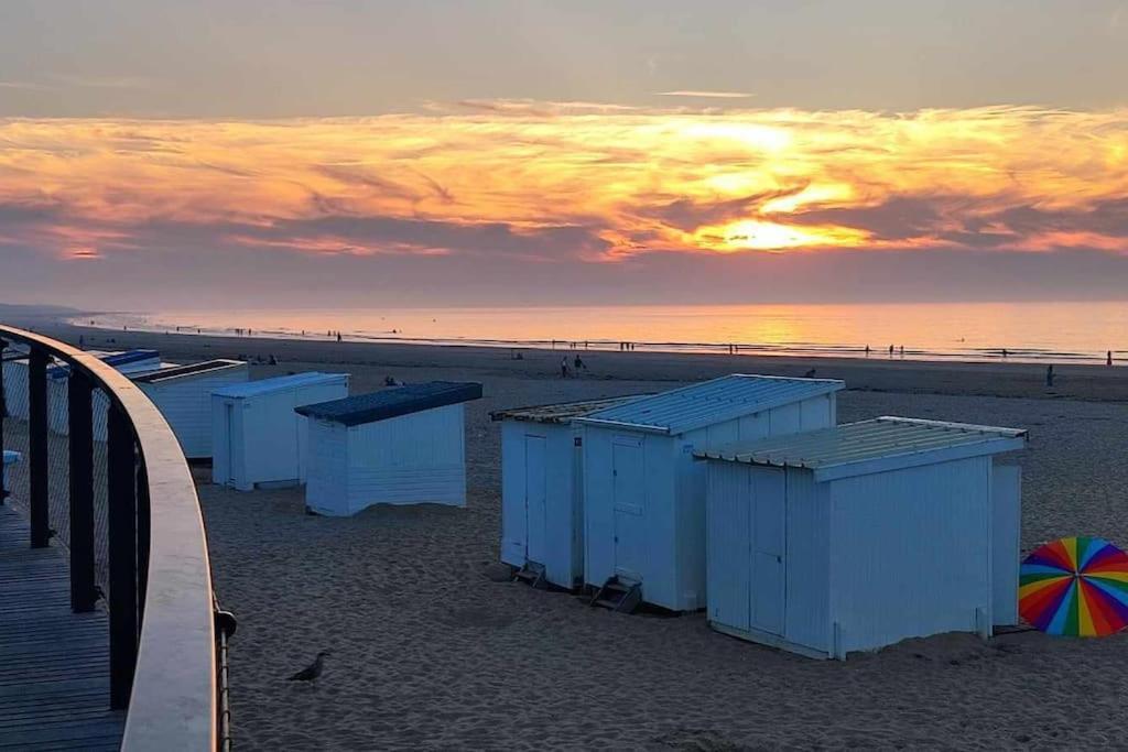 Studio Calais Front De Mer-Le Cocon Du Dragon-Classe 3 Etoiles المظهر الخارجي الصورة